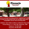 PINNACLE PRIMARY